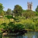 oxford-botanic