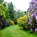 harcourt-arboretum-6